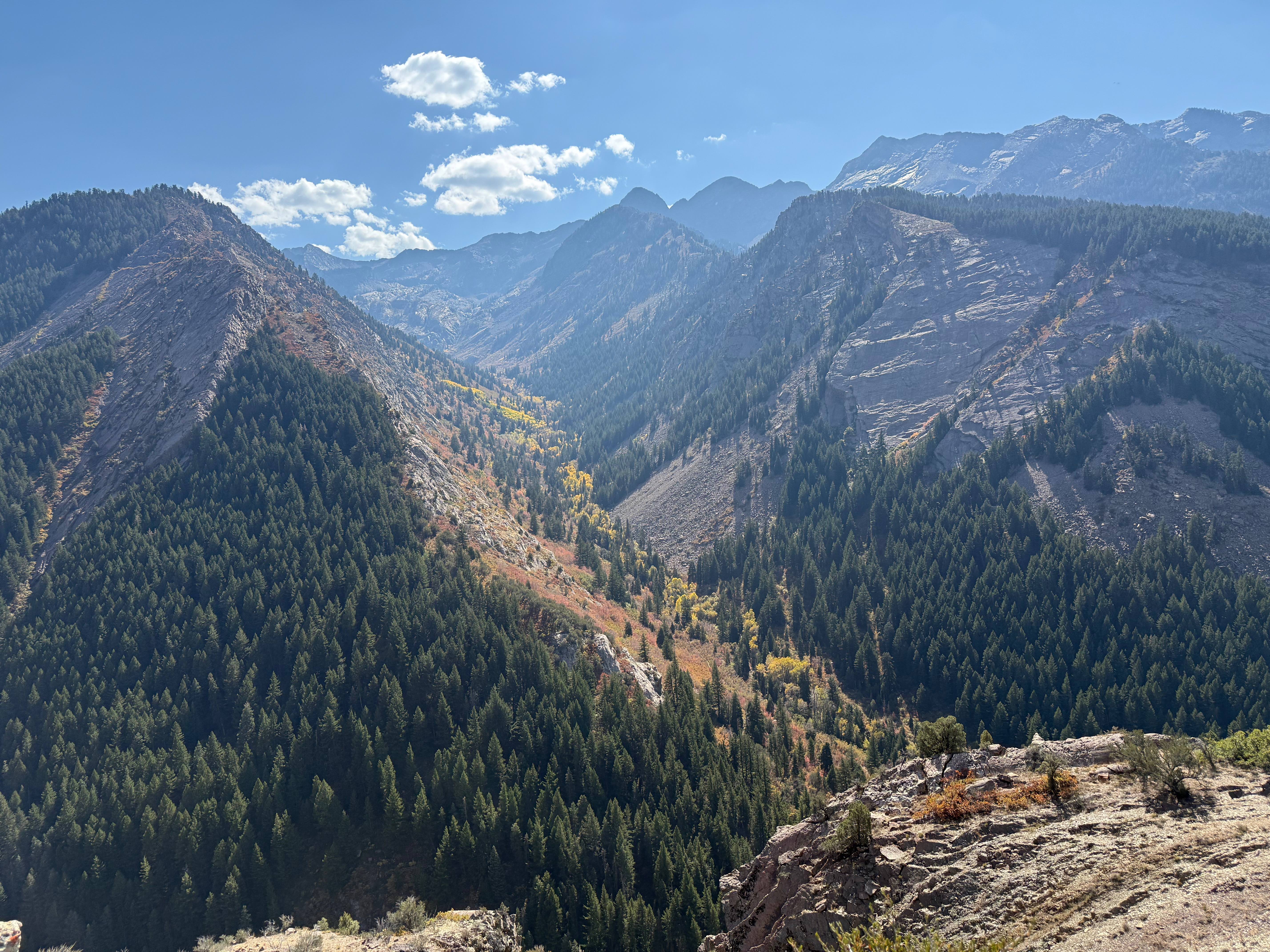 Zach hiking